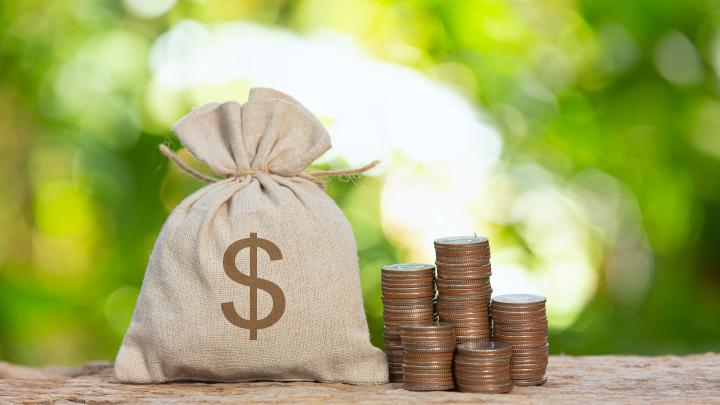 Penge, penge sæk og natur i baggrunden