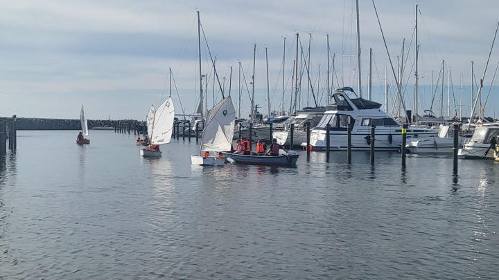 Søspejdere i optimistjoller