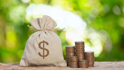 Penge, penge sæk og natur i baggrunden